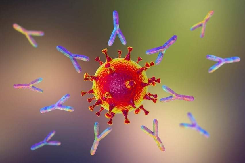 Coronavirus : Le variant Delta détecté aux Comores