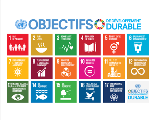 Développement durable : Des progrès « insignifiants » pour les ODD